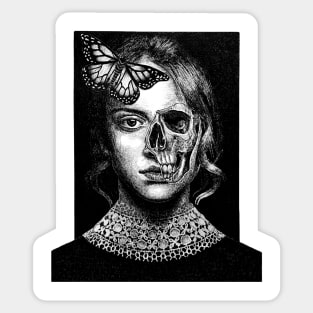 DRUSILLA Sticker